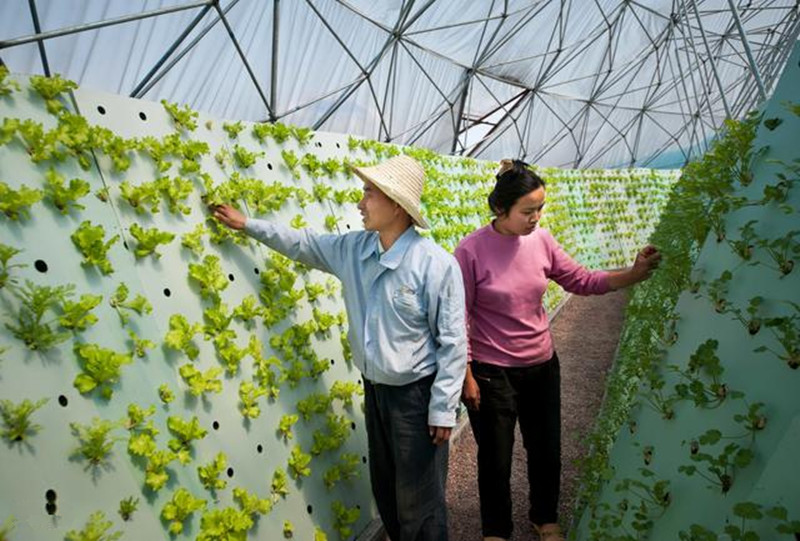新型農民用手機就能種田？如何做到的？不信你瞧！