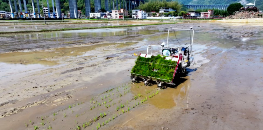 【未來農業】譚正平：智慧無人農場——未來農業生產模式研究