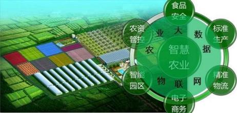 地方政策|最高補(bǔ)貼200萬，明年這個政策你必須提前知道！