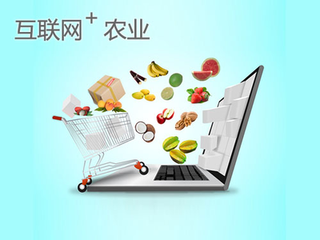 關于“互聯網+農業”的模式，代表們都說了啥？