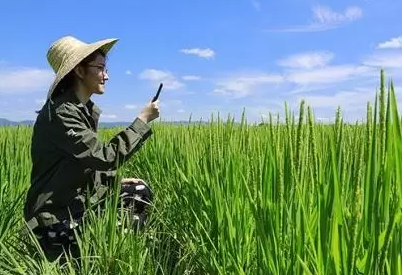 重磅|8大農業結構調整重點支持領域：補貼多、力度大