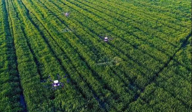 耕地減少，人口增加、食品問題頻頻，智慧農業能否拯救中國農業