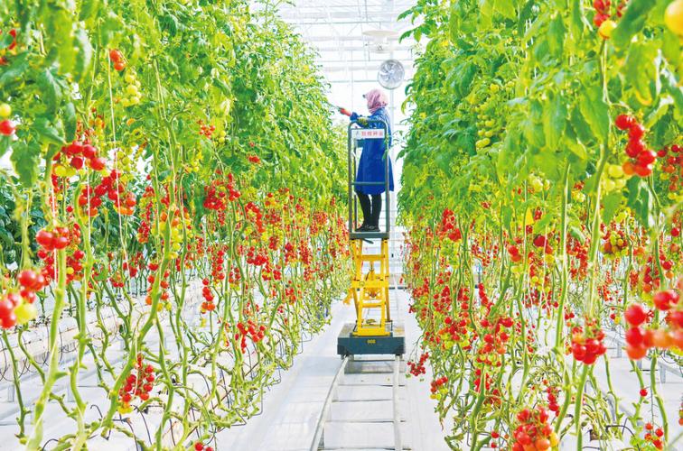 敦煌種業：投資成立新公司 經營范圍含智能農業管理