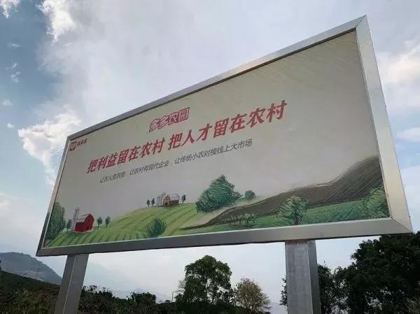 中國(guó)農(nóng)業(yè)迎來(lái)“拼多多式改革”
