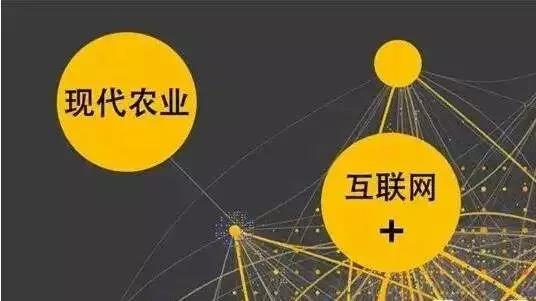 別瞎干！做農(nóng)業(yè)要擅于借勢互聯(lián)網(wǎng)（附6個政策、5個創(chuàng)新玩法）