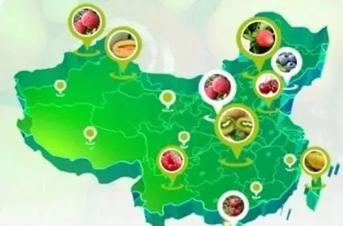 阿里拼多多們真能改變農(nóng)業(yè)么？