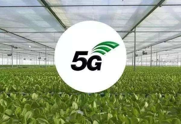 5G農(nóng)業(yè)邁入元年，中國農(nóng)業(yè)迎來新變革，但2大問題必須解決