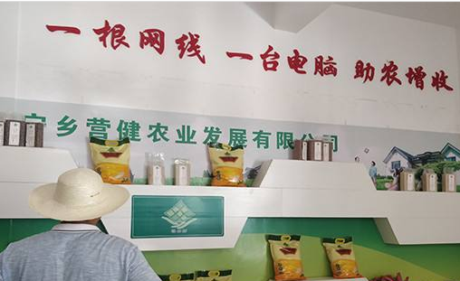 王超：以流通為重點深入推進“互聯網+農業”轉型發展