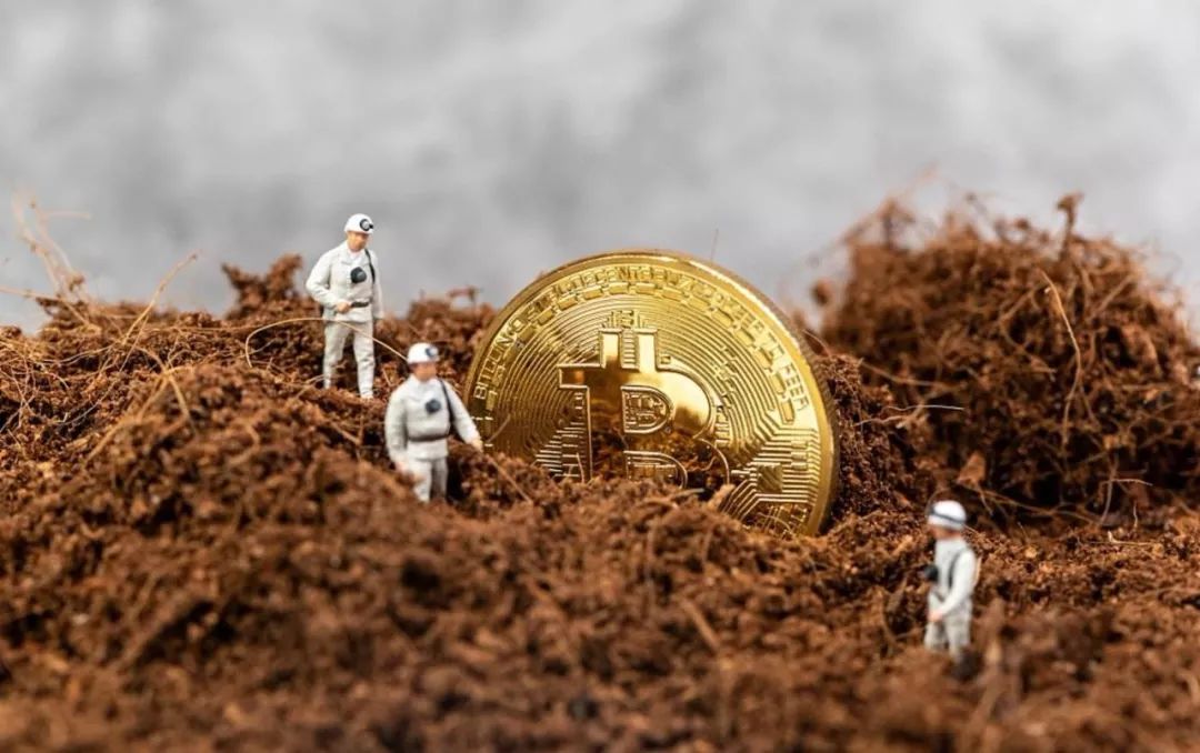 區塊鏈農業：絕對風口，利國利民！