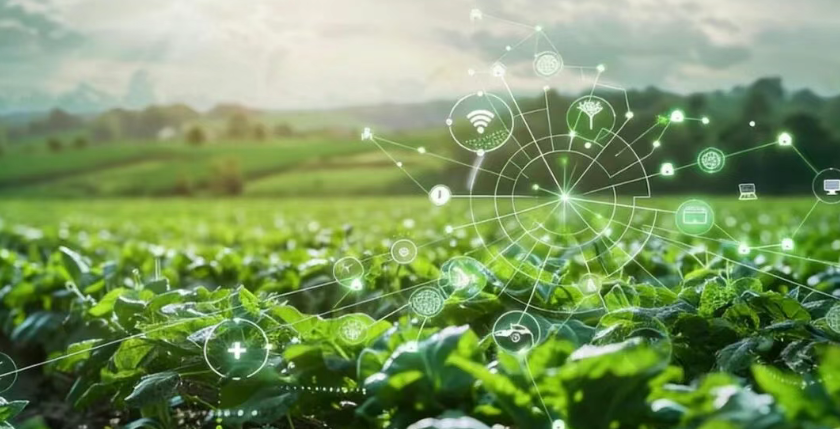 【數字農業案例】一家現代農業企業的“數字農業方案”： “互聯網 + 訂單農業”