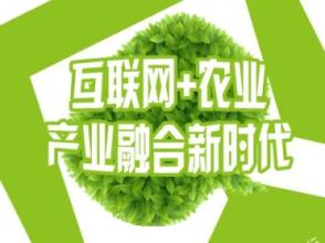 干貨來(lái)襲！互聯(lián)網(wǎng)+農(nóng)業(yè)都有哪些環(huán)節(jié)？