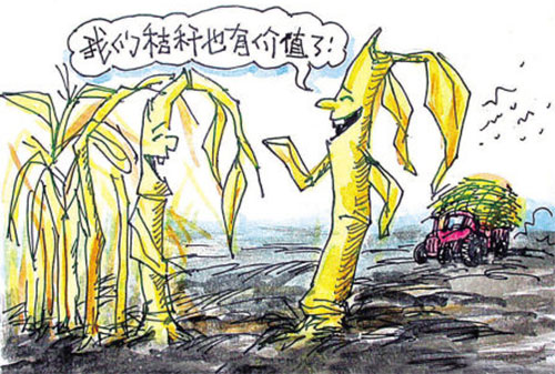 玉米秸稈有國家補(bǔ)貼，這些你都知道嗎？