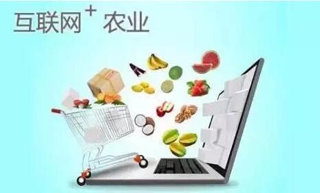 大猜測|未來中國農(nóng)業(yè)：就靠這6個(gè)了