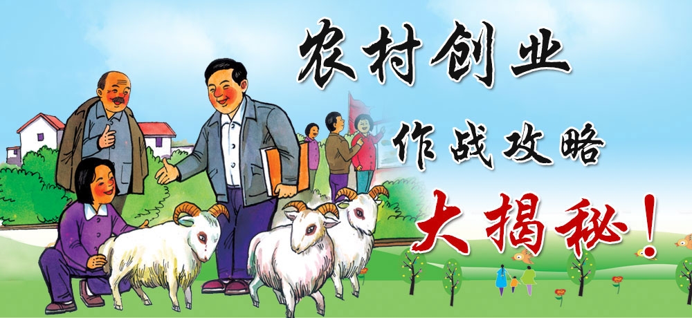 一半火焰、一半冰山！這里有8個農村創業失敗的真實案例！
