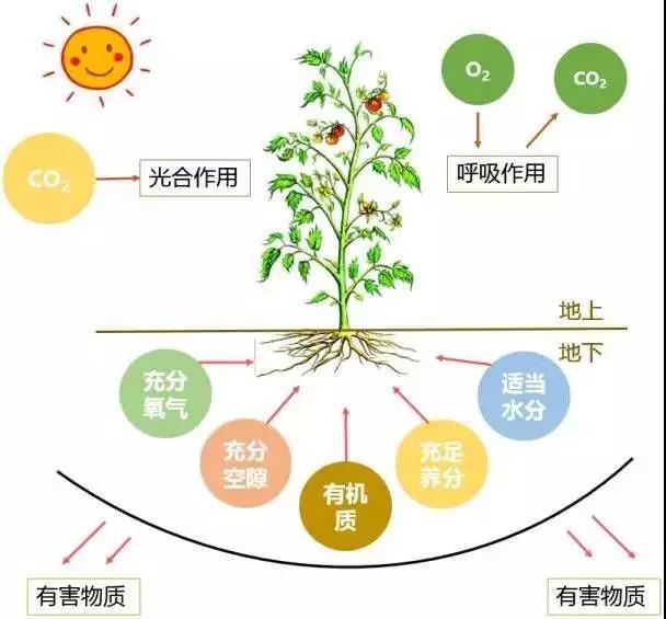 三農日報|臨期食品市場規模值得期待；有機農業的第一目標：養土