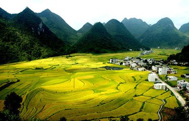 農業部:農業生態環境亮起"紅燈"