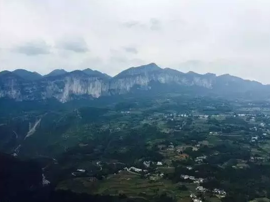農業+互聯網，一場血淚史，寫在創業的第7個年頭！